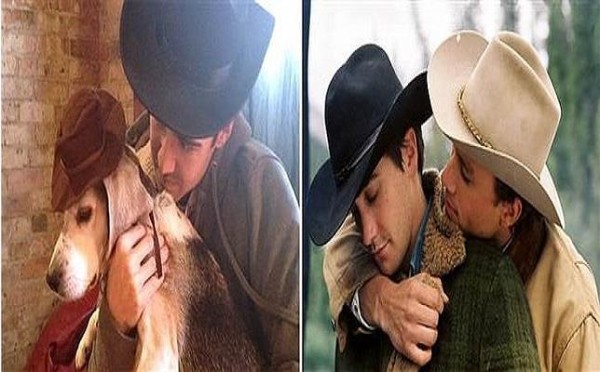 brokeback-mountain-perro--644x400