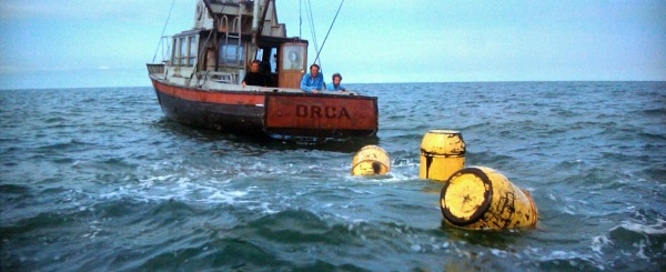 jaws