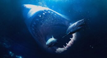 ¡Primera imagen de la película de tiburones más grande de la historia!