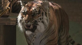 Divertidísimo: Así es Shiva, el tigre de “The Walking Dead”, sin efectos digitales