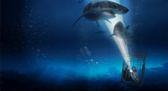 Los brutales tiburones de “A 47 metros” de los que no se ha hablado lo suficiente