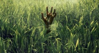 Terrorífico tráiler para “En la hierba alta”, la adaptación de la famosa novela de Stephen King
