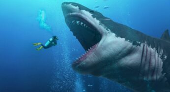 El descomunal tiburón de “The Black Demond” que esperamos ansiosos