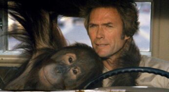 “Duro de pelar”: Cuando a alguien se le ocurrió juntar a Clint Eastwood y a un orangután