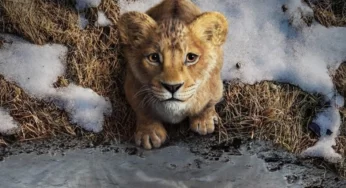 El tráiler de “Mufasa: El Rey León” nos deja fríos