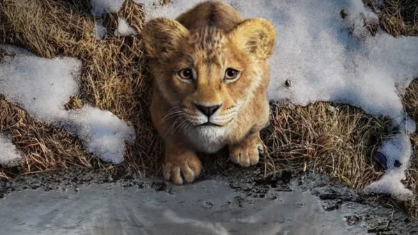 Mufasa: El Rey León